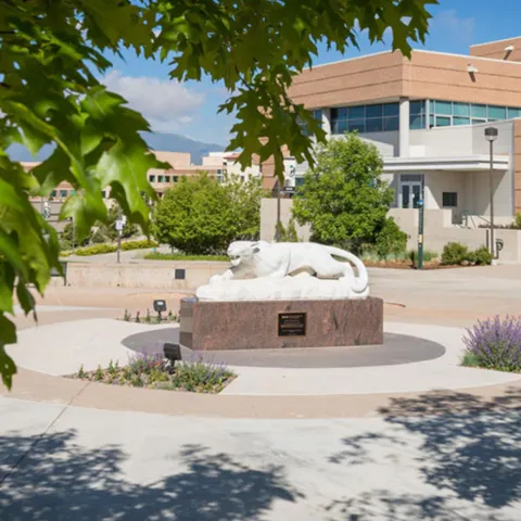 Mountain Lion Statue on UCCS Campus